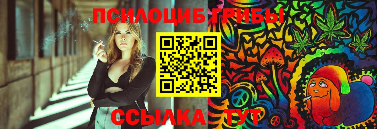 Томск  Псилоцибиновые грибы MAGIC MUSHROOMS  Вход с VPN  Псилоцибиновые грибы ЛСД 